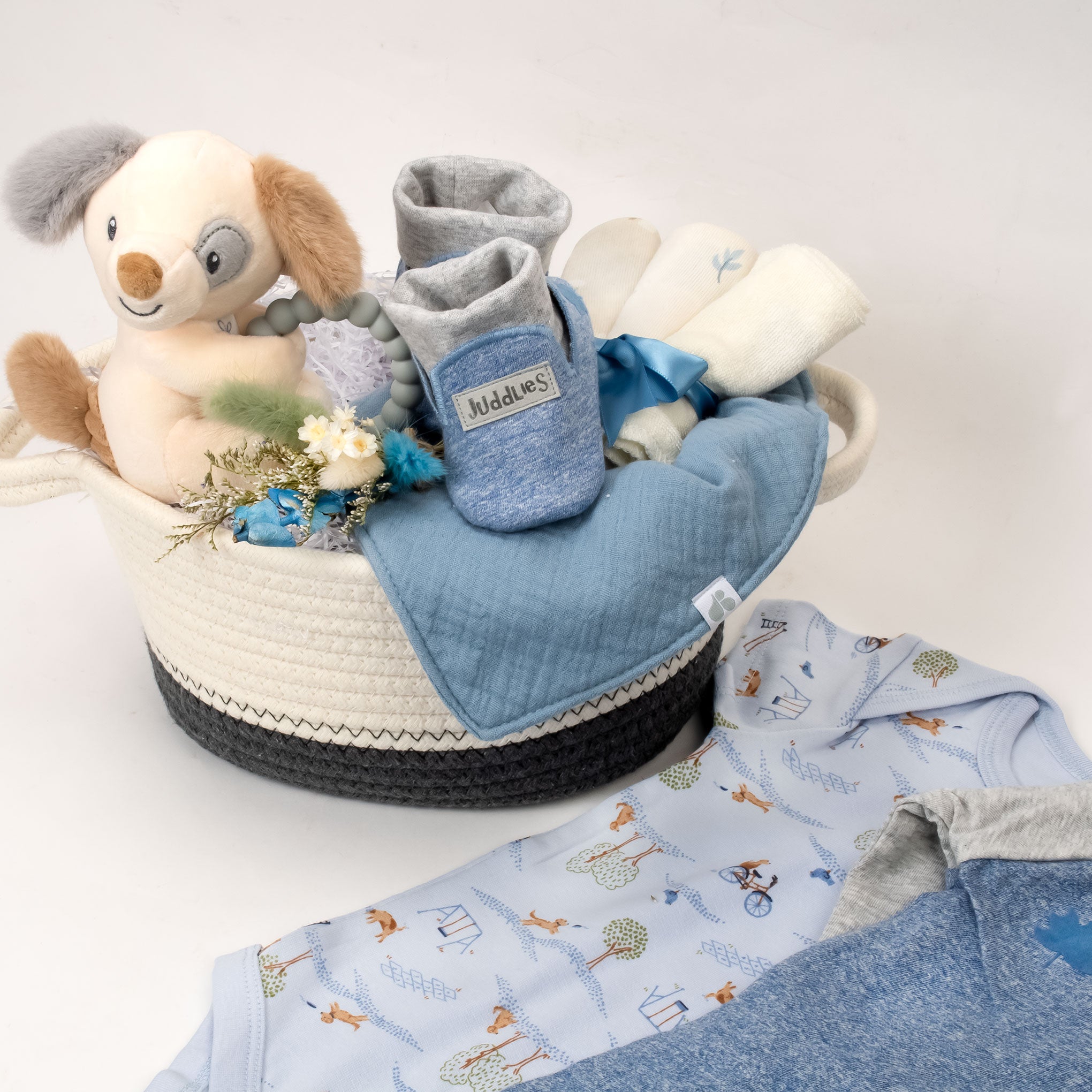 Blue baby basket Vancouver