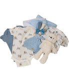 Baby gift basket blue 